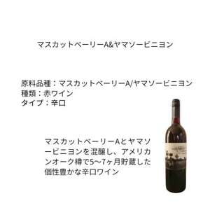 東晨洋酒 マスカットベーリーA＆ヤマソービニヨン 無添加ワイン【1706045】