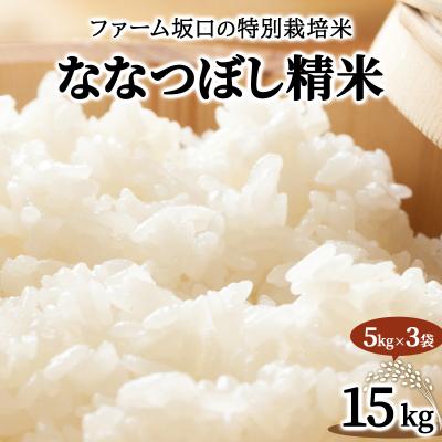 ふるさと納税 岩見沢市 令和7年産 ファーム坂口の特別栽培米 ななつぼし精米 15kg