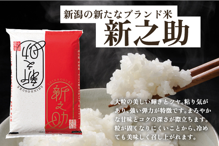 【令和8年産新米先行予約】【3ヶ月定期便】新潟県産 新之助 精米30kg （10kg×3袋）《10月上旬から順次出荷》 加茂ユナイテッド