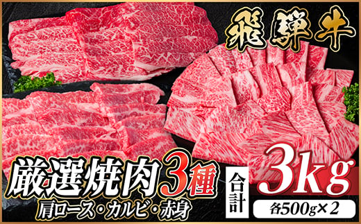 飛騨牛　厳選焼肉3種(肩ロース・カルビ・赤身)　計3kg(各1kg) 黒毛和牛　小分け【1669125】