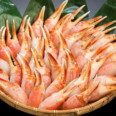 ふるさと納税 小清水町 ご家庭で楽しむ 生冷凍 本ズワイガニ爪 1kg×2袋【カット済】