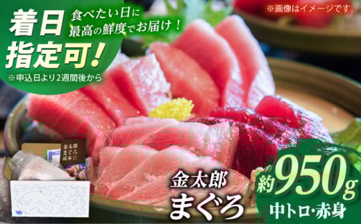 【激流育ち！】金太郎 マグロ 冷凍 ブロック 中トロ 赤身 約950g【徳丸】 [RAC027]