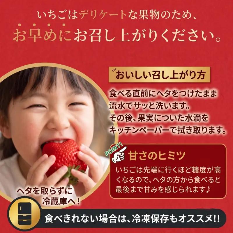 【2026年12月発送】 苺 あまおう 1080g (270g×4P) いちご ｜あまおう 福岡県産 福岡 川崎 OKI