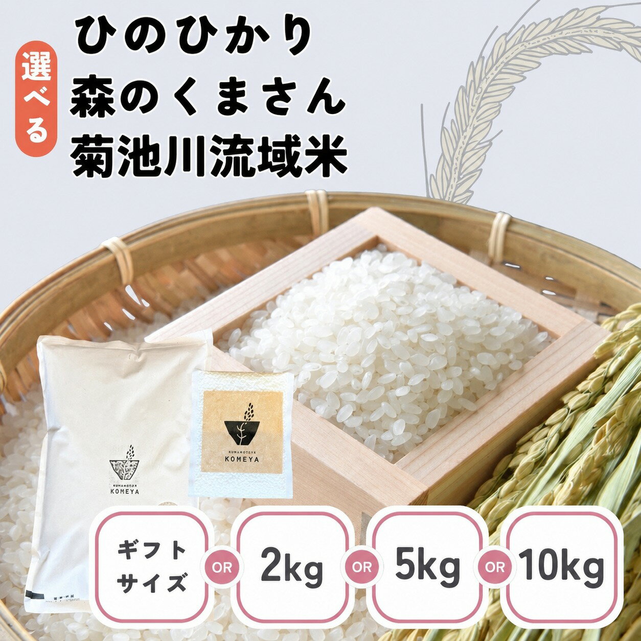 【ふるさと納税】米 2kg 5kg 10kg ひのひかり 森のくまさん 菊池川流域米｜玉名 熊本 送料無料