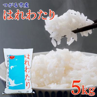 ふるさと納税 つがる市 はれわたり 5kg [0905]