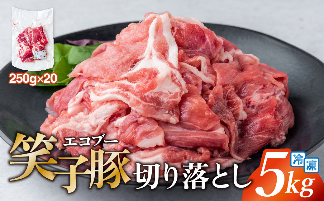 
豚肉 切り落とし 小分け 5kg (250g×20) 真空パック 冷凍 笑子豚 岩手県 金ケ崎町 令和6年1月以降順次発送
