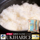 【ふるさと納税】 【定期便】みずほファーム UKIHA RICE (白米10kg×12ヶ月)