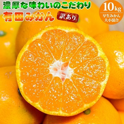 【2026年先行予約】（訳あり 家庭用）濃厚な味わいのこだわり 有田みかん 10kg (早生みかん・大小混合)_EA6036n