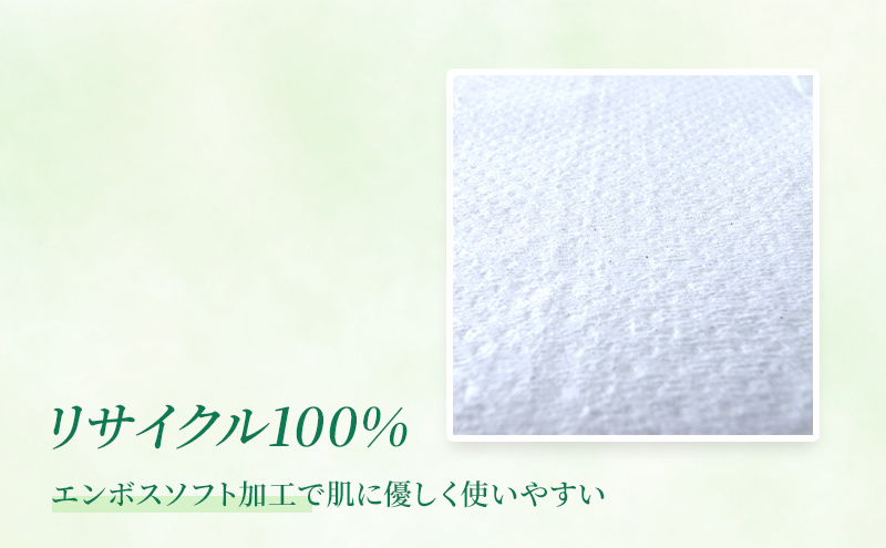 トイレットペーパー ハイネシングル55m 12ロールパック