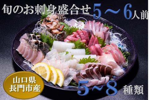 新鮮　旬魚　地魚　刺身盛り合わせ5～6人前（冷蔵） 配達不可エリア有り 新潟 東北 北海道 沖縄 配達不可 配送日時指定必須 年内配送 (1316)