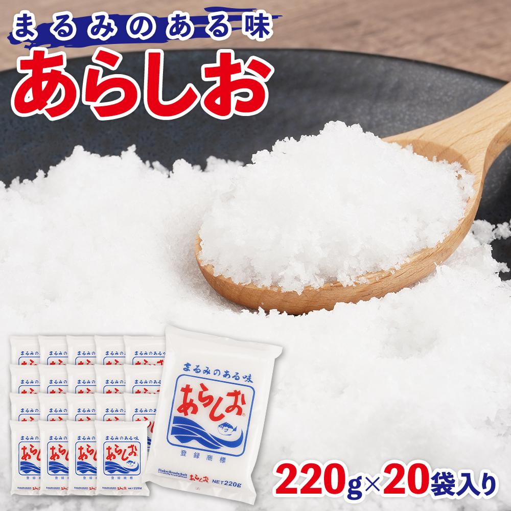 【ふるさと納税】あらしお 220g×20袋入り◇