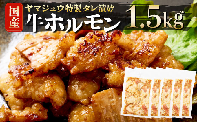
                  ヤマジュウの特製タレ漬け！国産牛ホルモン１．５ｋｇ ヤマジュウの特製タレ漬け！国産牛ホルモン 900ｇ ホルモン 国産 国産肉 肉 牛 牛肉 和牛 ブランド牛 冷凍 ふるさと 焼肉用 BBQ バーベキュー 内蔵 油脂身 味噌 おつまみ アウトドア やみつき タレ 漬け 簡単調理 惣菜 おかず おさけのつまみ お酒のつまみ 酒のあて ホルモン焼き高知県 室戸市
                