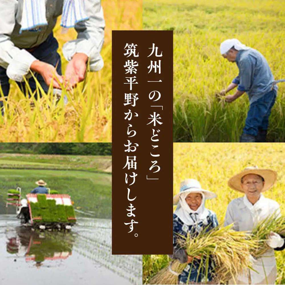 福岡県産 元気つくし 玄米 5kg×1袋 [BGAF026]元気つくし