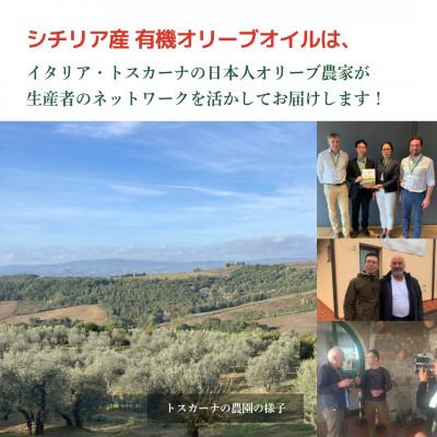 ふるさと納税 袋井市 有機栽培 朝摘み シチリア産エキストラバージンオリーブオイル 遮光瓶 6本【1月中旬から発送】 |  | 01