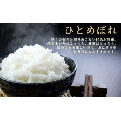 ふるさと納税 栗原市 【毎月定期便】ひとめぼれ白米5kg 宮城県栗原産全6回 |  | 01