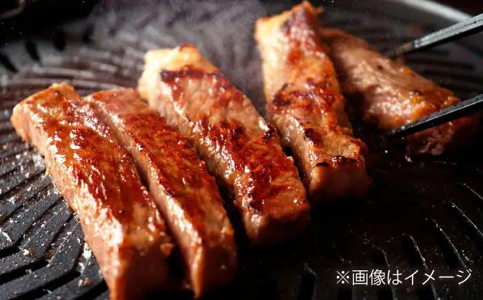 【全12回定期便】長崎和牛 ロースステーキ 総計4.8kg（約400g/回）【ながさき西海農業協同組合】 [DBV039][DBV039]