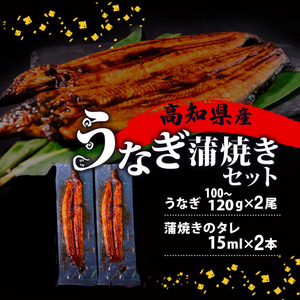 うなぎ 国産 高知県産 鰻 蒲焼き 100g～120g×2尾 セット 蒲焼きのタレ 付き 冷凍 高知県 須崎市 ( うなぎ 鰻 ウナギ 蒲焼き うなぎ料理 うなぎグルメ うなぎ好き うなぎ 高知県産う