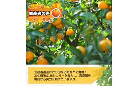 由良早生 みかん 家庭用 5kg / ゆら早生 温州みかん 極早生 甘い 家庭用 和歌山 柑橘 ※2026年10月上旬～11月上旬順次発送 ※北海道・沖縄・離島への配送不可 【nuk003-yura-