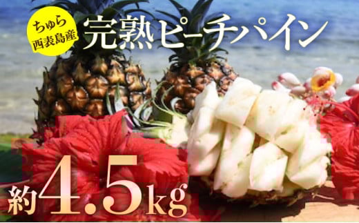 2025年 先行予約 ピーチパイン 約4.5kg 5玉～7玉 ちゅら西表島産!! ゆたか農園 完熟 パイン 果物 フルーツ パイナップル
