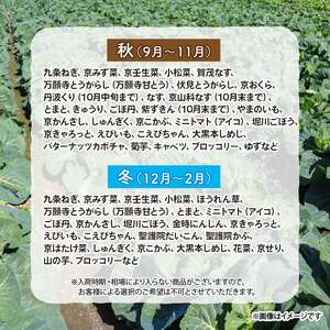 【野菜 定期便 2回】選りすぐり 旬の京野菜 詰め合わせセット 