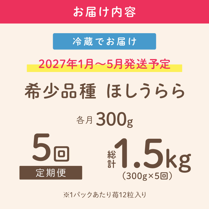 【2027年1月～5月発送予定】【糖度12〜15度の希少品種】いちご  ほしうらら 約300g（約300g×1パック×1箱）5ヶ月定期便 ※お届け不可地域あり【121C-004-2027】