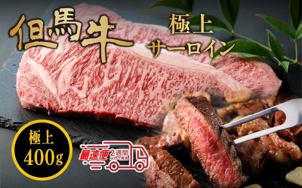 
            但馬牛サーロインステーキ　400g(200g×2枚)　但馬牛 サーロインステーキ 高級和牛 ステーキ 肉 ギフト 冷凍 小分け 大容量

          