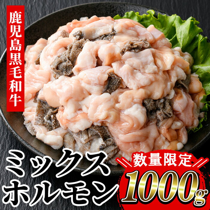 【ふるさと納税】≪数量限定≫黒毛和牛ミックスホルモン(計1000g・400g×2P＆200g×1P) 牛肉 焼き肉 ホルモン炒め モツ もつ 内臓 国産 九州 肉 和牛 牛 贈答品 ギフト【バクロ】