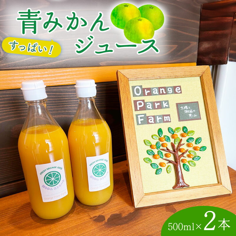 【ふるさと納税】 果汁 100％ みかん ジュース 500ml × 2本 青みかん ストレート 西浦 オレンジ すっぱい 自然農法 柑橘 フルーツ ビタミンC 国産 ギフト 贈り物 健康 美容 朝食 おやつ 果物 デザート 無添加 天然 沼津市 静岡県