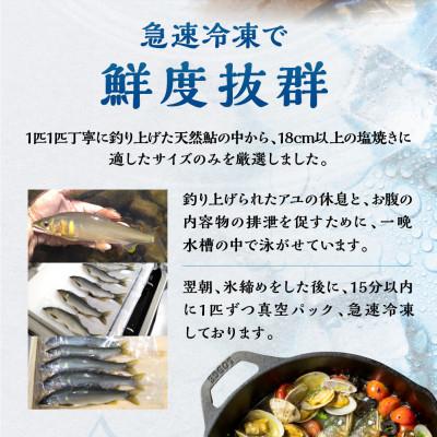 ふるさと納税 白川村 白川村産 飛騨庄川の天然鮎 8尾 [S511_8bi] |  | 03