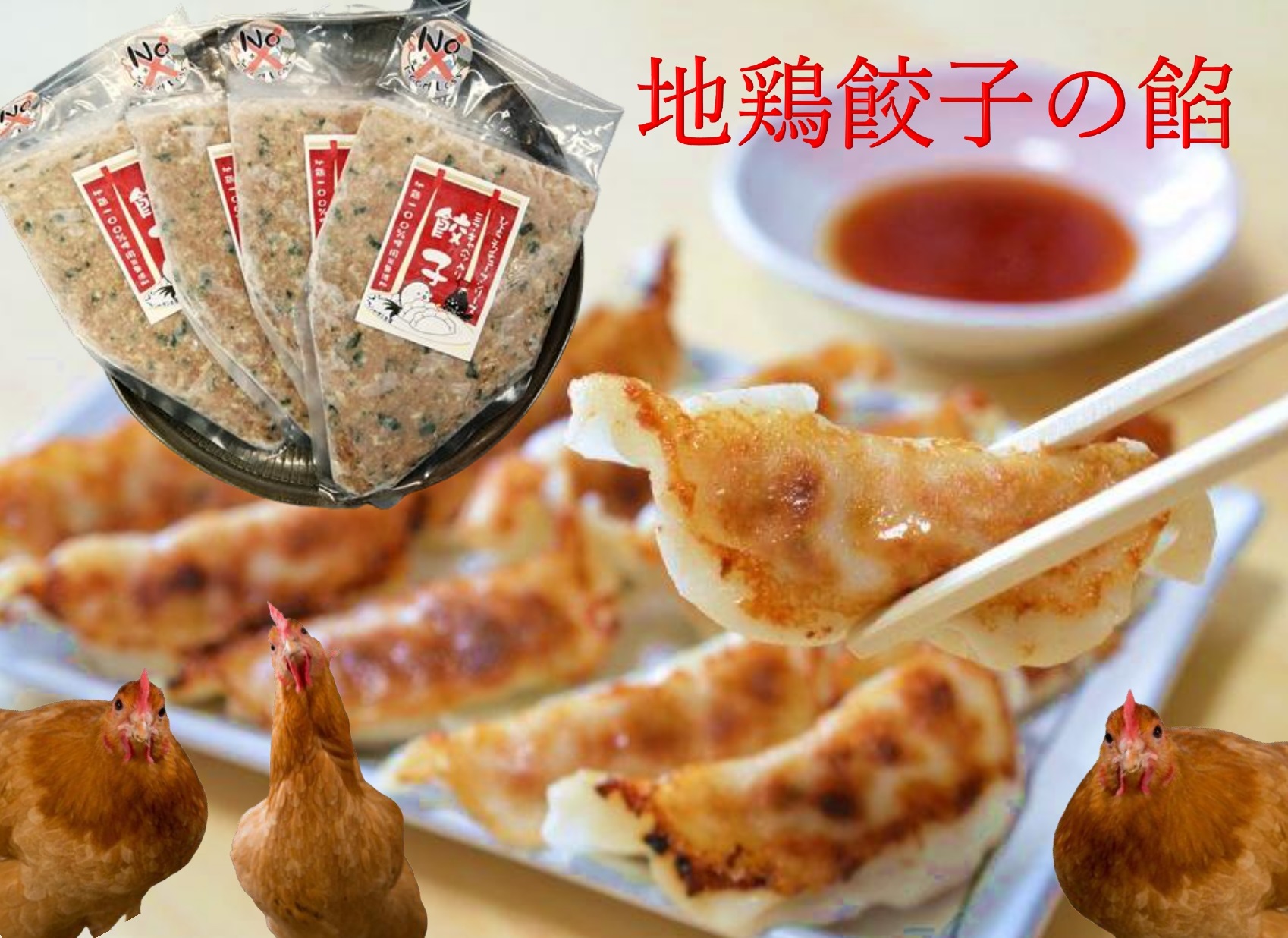 手作り 地鶏餃子の餡 4本セット ひよころ鶏園 鶏肉 餃子 ぎょうざ 保存料未使用 食品添加物未使用 平飼い 鶏油 天然調味料 国産 地鶏 モモ肉 新潟県 阿賀野市 冷凍 1R03013