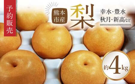 熊本市産 梨 （幸水 ・ 豊水 ・ 秋月 ・ 新高 など） 約4kg 【2025年8月下旬～9月下旬迄発送予定】 果物 フルーツ ナシ