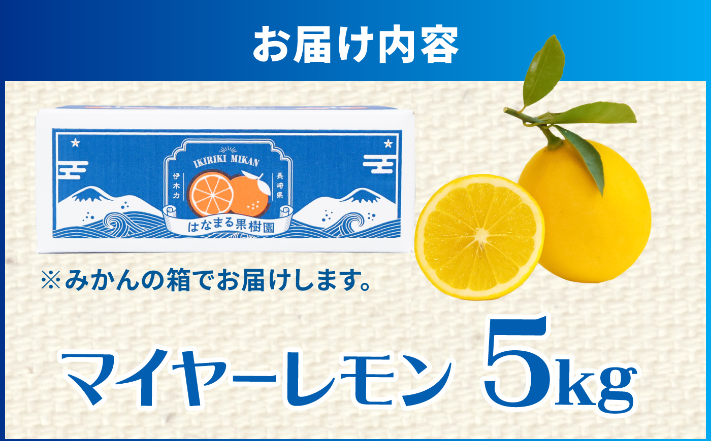 ※【2026年12月上旬より順次発送／先行予約】【ワックス不使用】国産 マイヤーレモン 5kg / レモン れもん 檸檬 フルーツ 果物 / 諫早市 / 山野果樹園 [AHCF004]