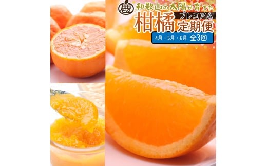 厳選 柑橘定期便S（4～6月）全3回 ［IKE289］