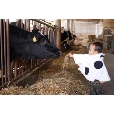ふるさと納税 那須塩原市 那須山麓ミネラル米(精米)5kg |  | 03