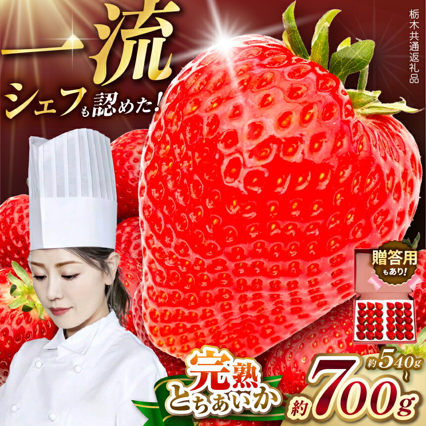 【ふるさと納税】いちご とちあいか 2026年 5月まで発送 赤い宝石 540g 700g 30粒 | 極上の 一粒 ご褒美 お取り寄せ スイーツ 甘い おいしい ジューシー 苺 イチゴ itigo スイーツ すいーつ ギフト 贈答用 ブランド 栃木県共通返礼品 栃木県 矢板市