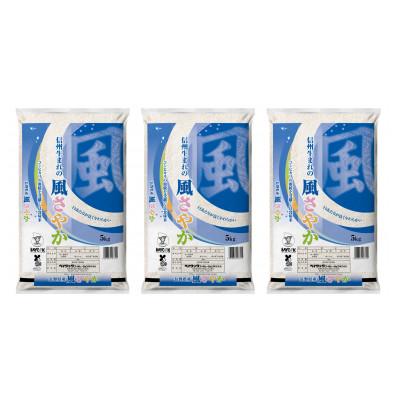 ふるさと納税 長野市 【令和7年産】長野県産風さやか　精米15kg(5kg×3袋)