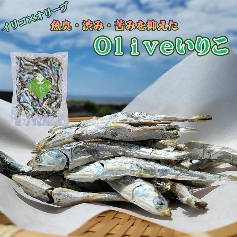 
            【ふるさと納税】香川県三豊市産　オリーブいりこ大羽1Kg
          