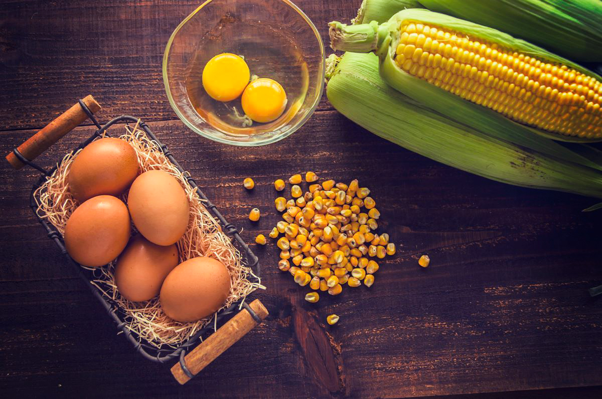 【卵6回定期便】北海道産たまごを食べ比べ「とうきびたまご３種」18個×6回発送 酒井農場