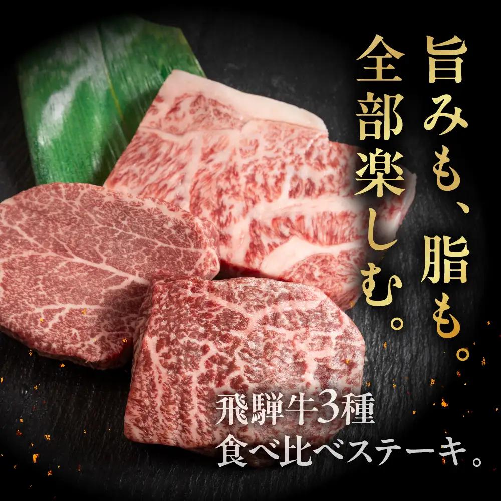 飛騨牛ステーキ 3種 食べ比べセット（各100g）計300g （サーロイン・ヒレ・赤身）【22-50】