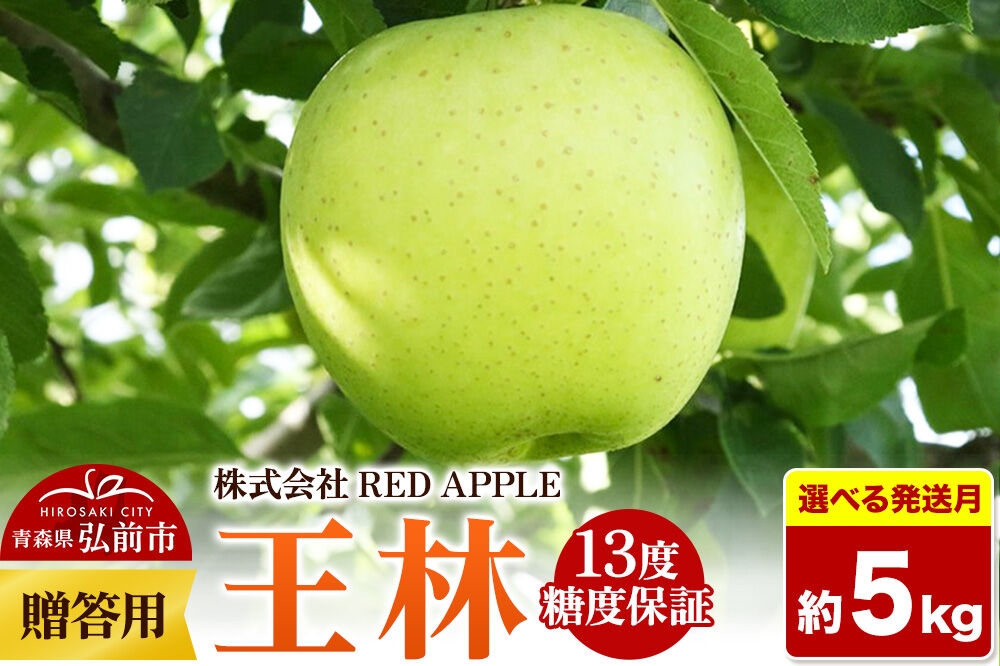 
                  りんご【選べる 26年12月／27年1月 発送】13度糖度保証【贈答用】王林 約5kg 先行受付 [アップル おいしい お歳暮 お中元 ギフト プレゼント りんご 王林 黄色 果実 果物 贈り物 贈答用 糖度 美味 林檎]
                