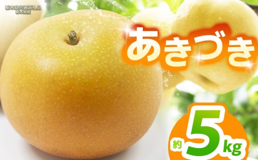 【2027年9月先行予約】あきづき 約5kg |【栃木県共通返礼品】あきづき 梨 なし ナシ 新品種 先行予約 大粒 新鮮 甘い 美味しい 果物 くだもの フルーツ ふるーつ 共通返礼品 フルーツ デザート 栃木県 那珂川町