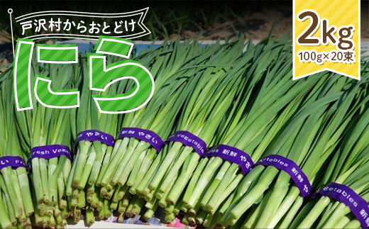 山形県 戸沢村産 にら 2kg(20束) 2026年5月下旬から順次発送 国産 野菜 やさい 韮 ニラ 料理 餃子 炒め物 惣菜 自宅 家庭 F7W-0337