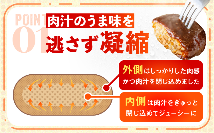 【２回　定期便】 直火焼ハンバーグ デミグラスソース 22個セット（計3kg超え）