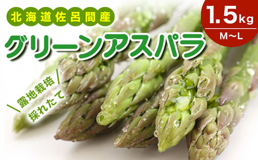 
                  露地栽培 グリーンアスパラ 1.5kg （M～L） 北海道 佐呂間産 （2027年5月出荷開始先行予約） 【 ふるさと納税 人気 おすすめ ランキング 野菜 アスパラ アスパラガス グリーンアスパラ グリーン とれたて 新鮮 北海道 佐呂間町 送料無料 】 SRMM018
                