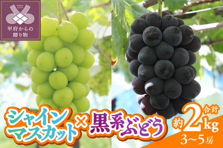 〈2025年度配送分〉甲府市産　シャインマスカット×黒系ぶどう　約2.0kg（3～5房）