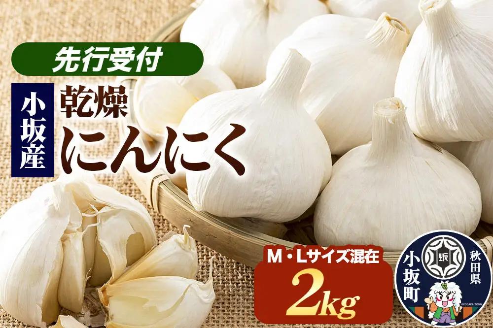 《先行受付》小坂産 乾燥にんにく  2kg