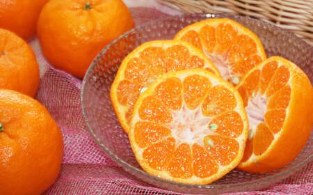 熊本県産 ポンカン 約2.2kg【2025年12月下旬発送開始】