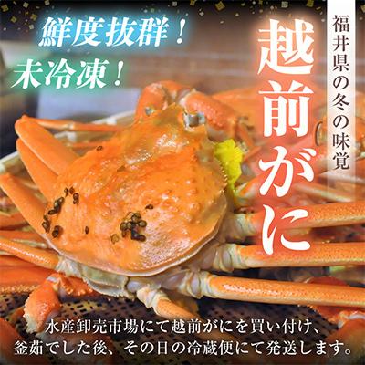 ふるさと納税 美浜町 【2027年2月より順次発送】越前がに　大大サイズ2杯　獲れたて★茹でたてをその日に発送致します! |  | 01