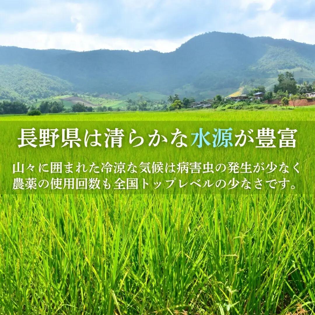 長野県産 もち米 3kg 令和7年産|もち米3kg 