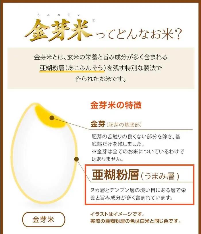 BG 無洗米 金芽米 ベストセレクト10kg 5kg×2 計量カップ付き